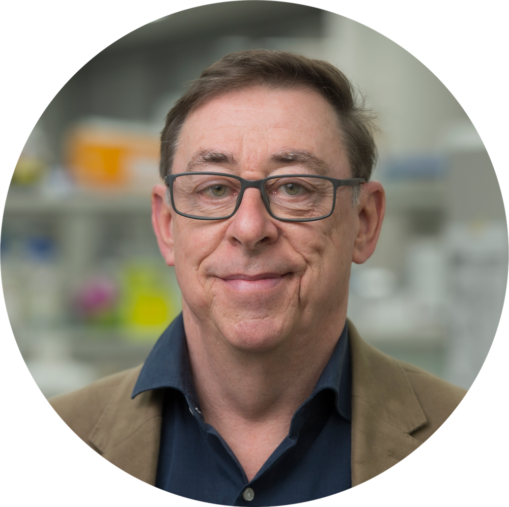 Professor Andrew Spencer